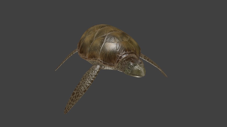 Ocean Turtle preview image 1